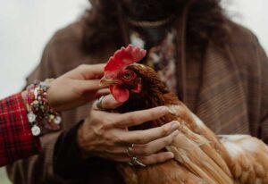 Read more about the article The Secret of Successful Village Life